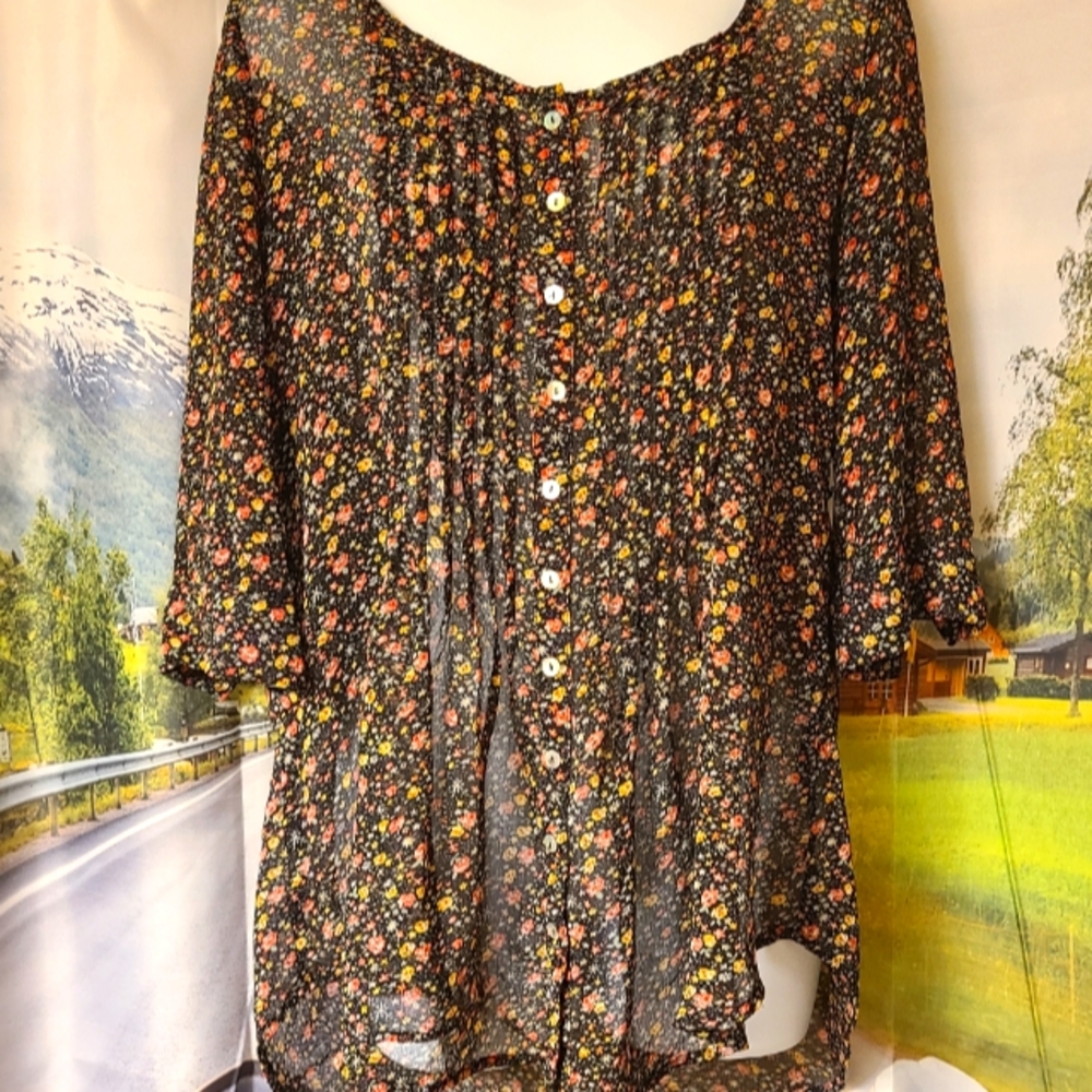 Sound & Matter Sheer Blouse